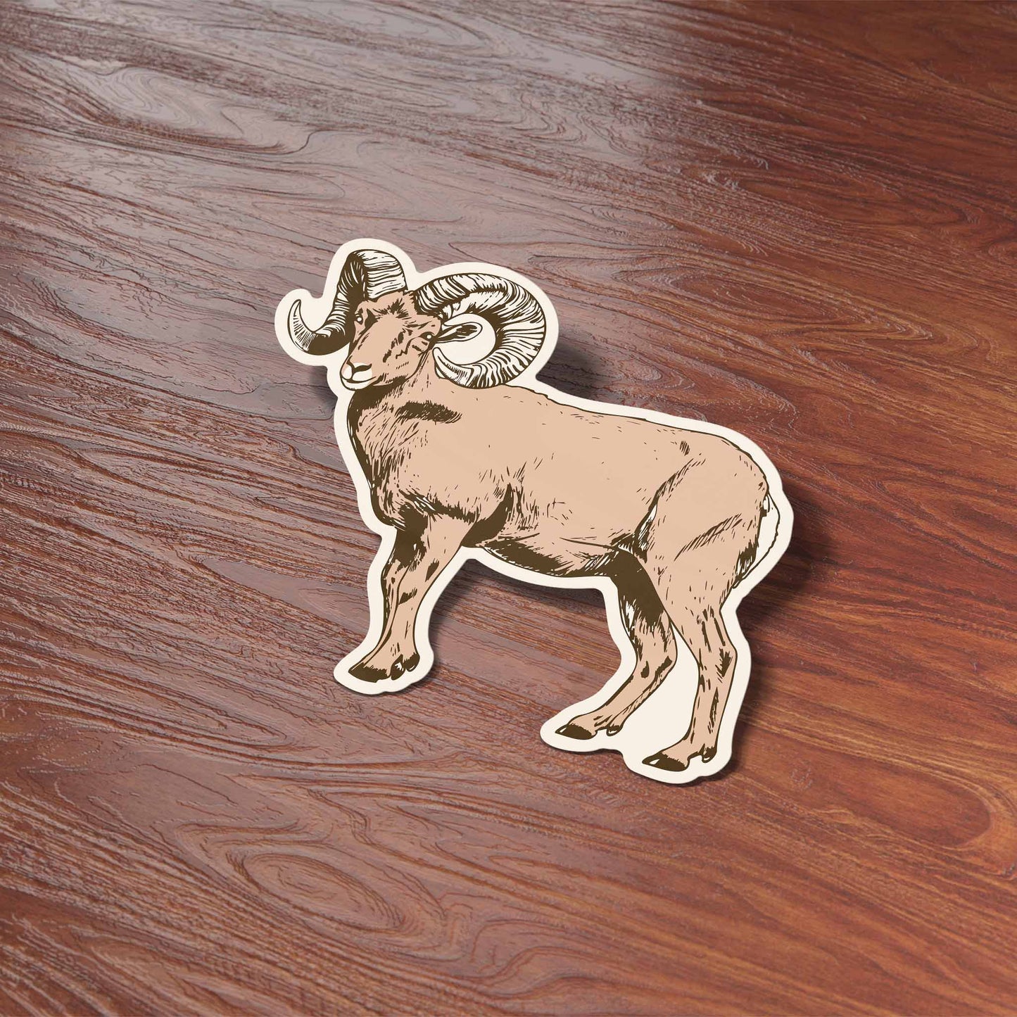 Bighorn Sheep Sticker - Cool Nature Decal